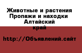 Животные и растения Пропажи и находки. Алтайский край